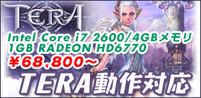 TERA����Ή����f��